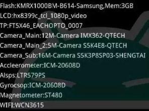 最新全面爆料视频下载,下载背后的秘密与最新动态